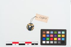Foto von Glasaugenperle (NHMW-PRAE-023901)